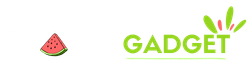 fruitsgadetshop.com